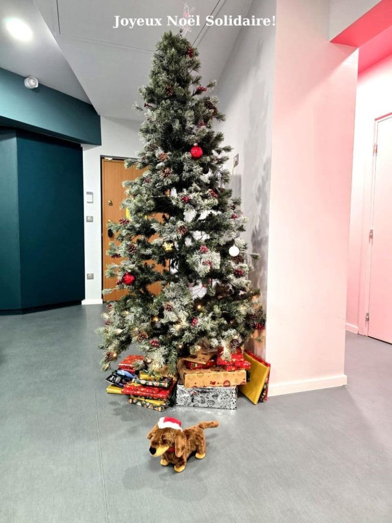 Sapin solidaire Noël à FILEA et SKALE Strasbourg avec des cadeaux pour les enfants